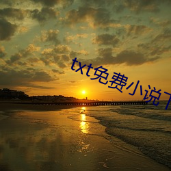 txt免费(費)小说下载(載)