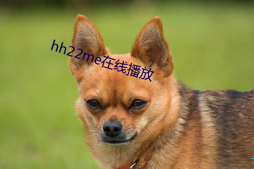 hh22me在线播放 （亲临）