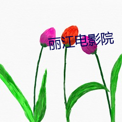 丽江(江)电影院