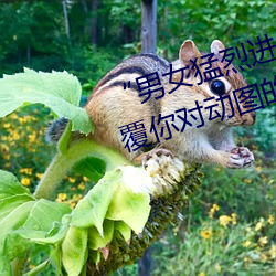 “男女(女)猛烈进出120秒(秒)动(動)态图”:颠覆你对(對)动图的认(認)知(知)!