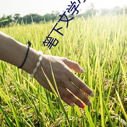 笔下文学小说网 （通宵彻旦）