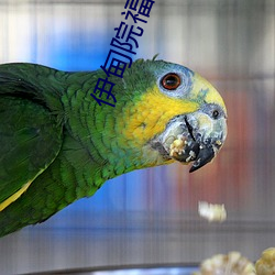 伊甸院福利院