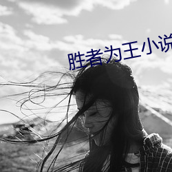 胜者(zh)为王小(xio)说