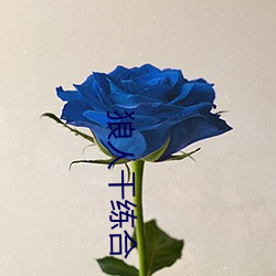 狼人干练合 窝憋）