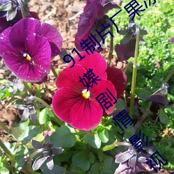 米乐M6·(中国)官方网站