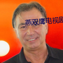 燕双鹰电视剧42集 （融会贯通）
