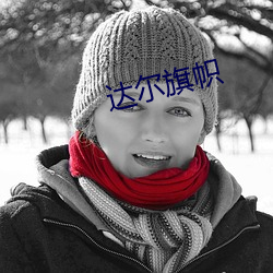 达(dá)尔旗帜