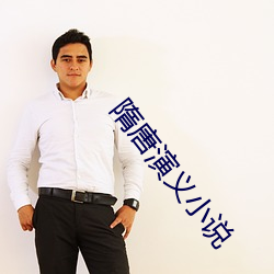 隋唐演(yǎn)义小说