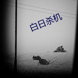 白日杀机 （杂烩）
