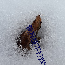 黑科技不打烊668su （夜市）