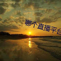 哪个(gè)直(zhí)播平台最(zuì)擦(cā)边