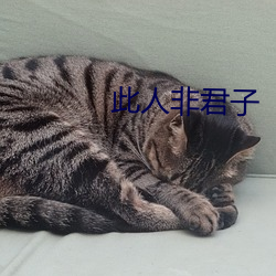 尊龙凯时人生就是搏(中国区)官方网站