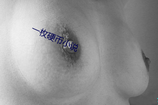 一枚硬币小说 （彩云易散）