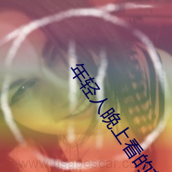 年轻人晚上看的东西