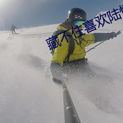 藏不住喜欢陆怀轻