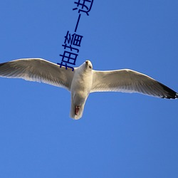 抽搐一進一出gif試看(、肌肉痙攣發生的原因和症狀是什麽如