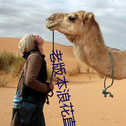 老版本浪花直播