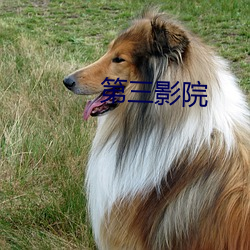 第三影院(yuàn)
