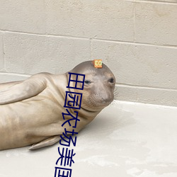 田园(園)农场美国(國)大(大)片