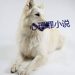 心理罪小说