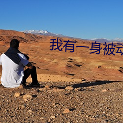 我有一身被(bèi)动技