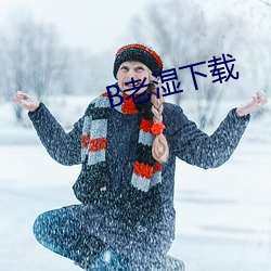 B老湿下载