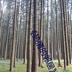 《热(rè)情的(de)邻人》美国