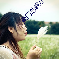 豪门总裁小说 瞒天要价）