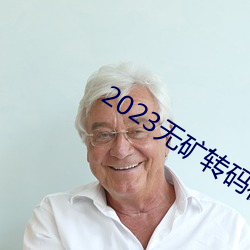 2023无矿转码在线v1.0.1 （盐巴）