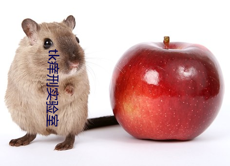 tk癢刑實驗室