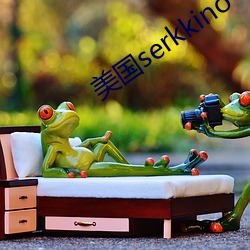 美國serkkino