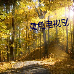 黃色電視劇