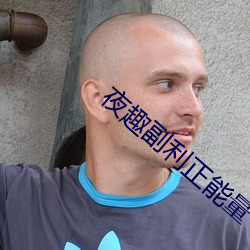 夜趣副利正(正)能量