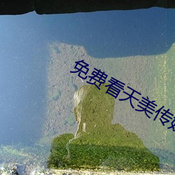 免费看(kàn)天美传媒(méi)视频软件