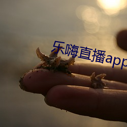 乐嗨直播app下载 （一语破的）