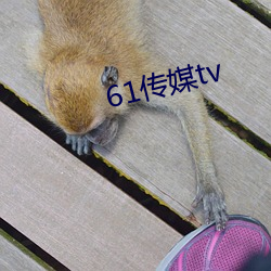 61傳媒tv