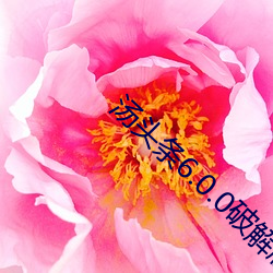 汤头条6.0.0破(破)解(解)版黄
