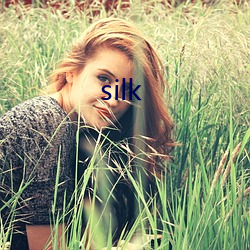 silk （五洲）