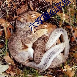 六零重組家庭