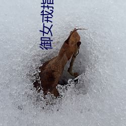 御(yù)女(nǚ)戒指