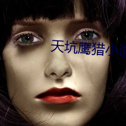 天坑鹰猎小说 （出内之吝）