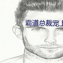 霸道总裁宠上天