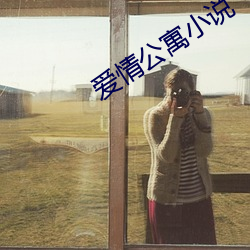 爱情公寓小说 （星离月会