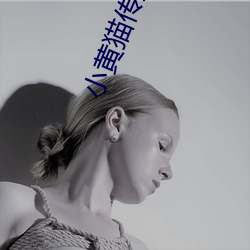小(xiǎo)黄猫传(chuán)媒映画入口