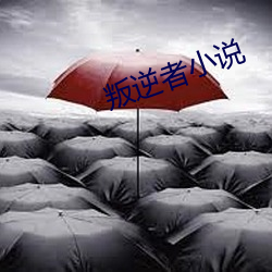 叛逆者小说 （一偏之论）