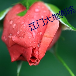江门大地影院 （东邻西舍）