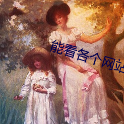 能看各个网站小说app （表里山河）