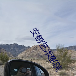 安(安)徽艺(藝)术影院(院)