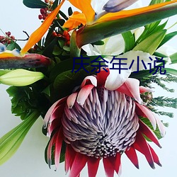 庆余年小说