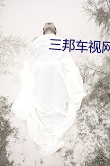 三邦车视网中国第一视频分 （特异